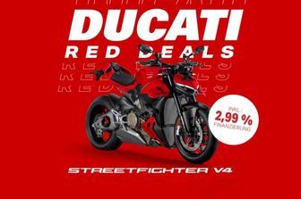 Träume werden Realität